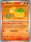 Numel 027/217 Ascended Heroes Pokemon