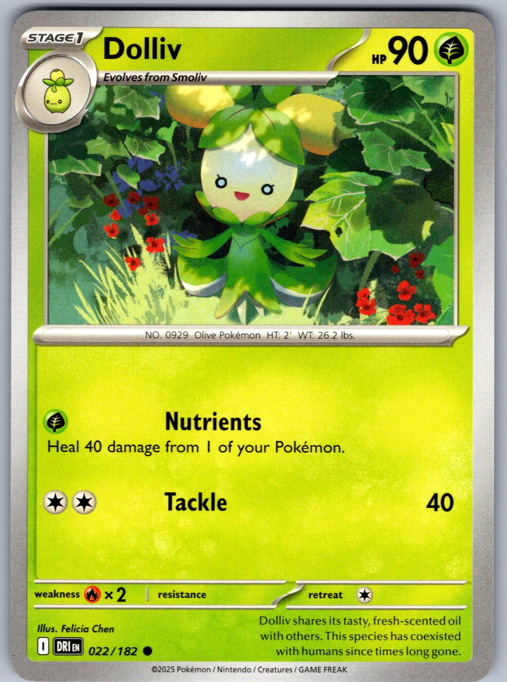 Dolliv 022/182 Destined Rivals Pokemon