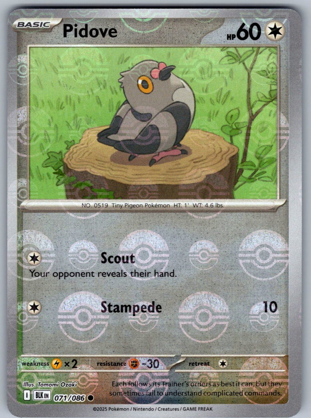Pidove 071/086 Black Bolt Pokemon