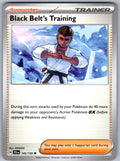 Black Belt's Training 145/159 Journey Together Pokemon