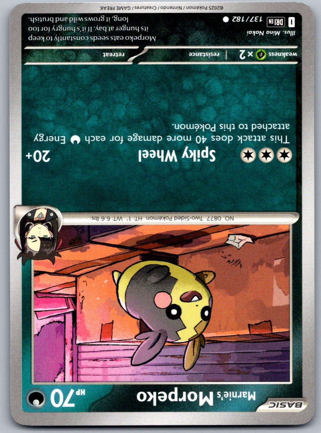 Marnie's Morpeko 137/182 Destined Rivals Pokemon