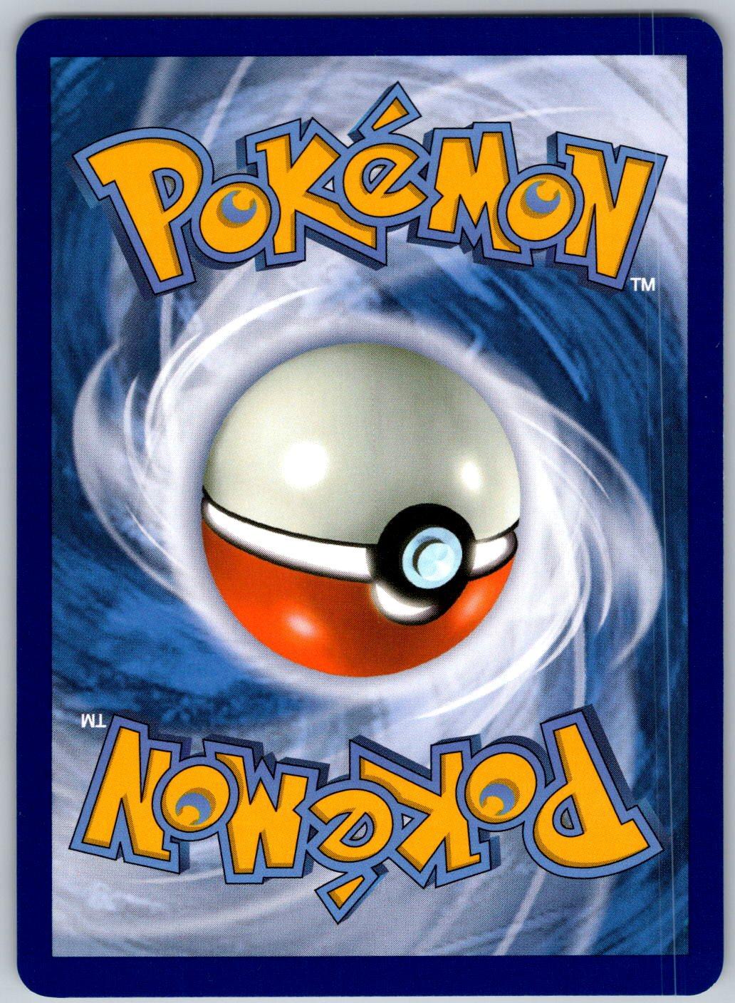 Black Belt's Training 145/159 Journey Together Pokemon