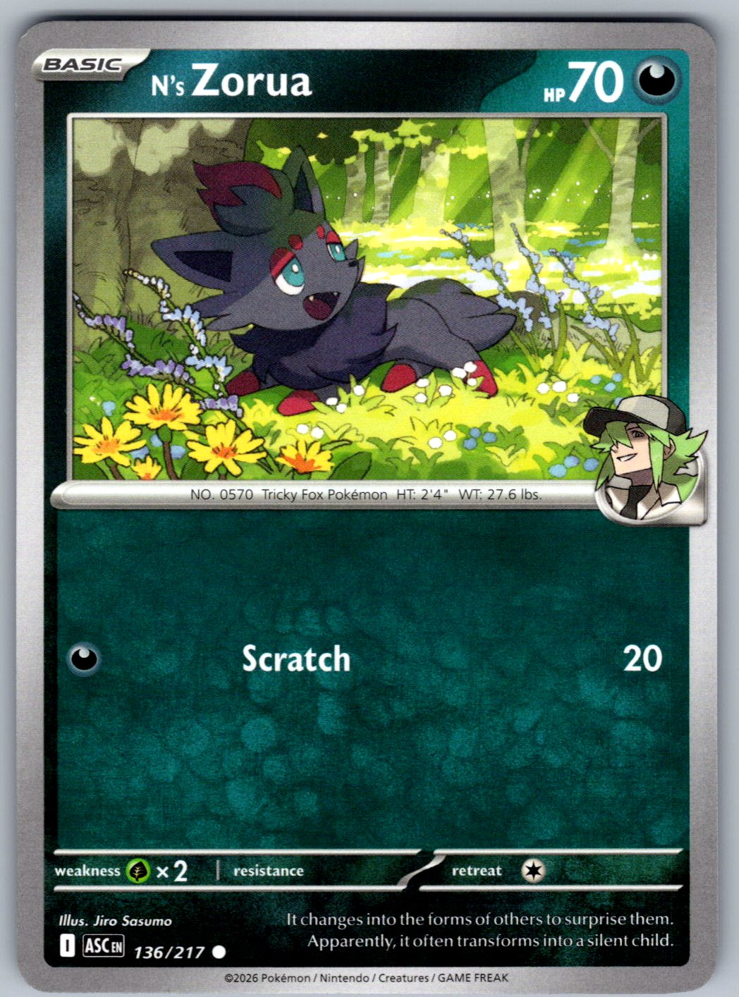 N's Zorua 136/217 Ascended Heroes Pokemon