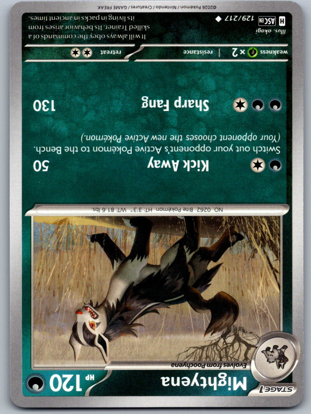 Mightyena 129/217 Ascended Heroes Pokemon