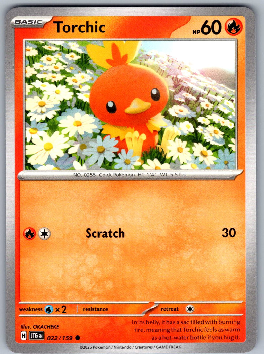 Torchic 022/159 Journey Together Pokemon