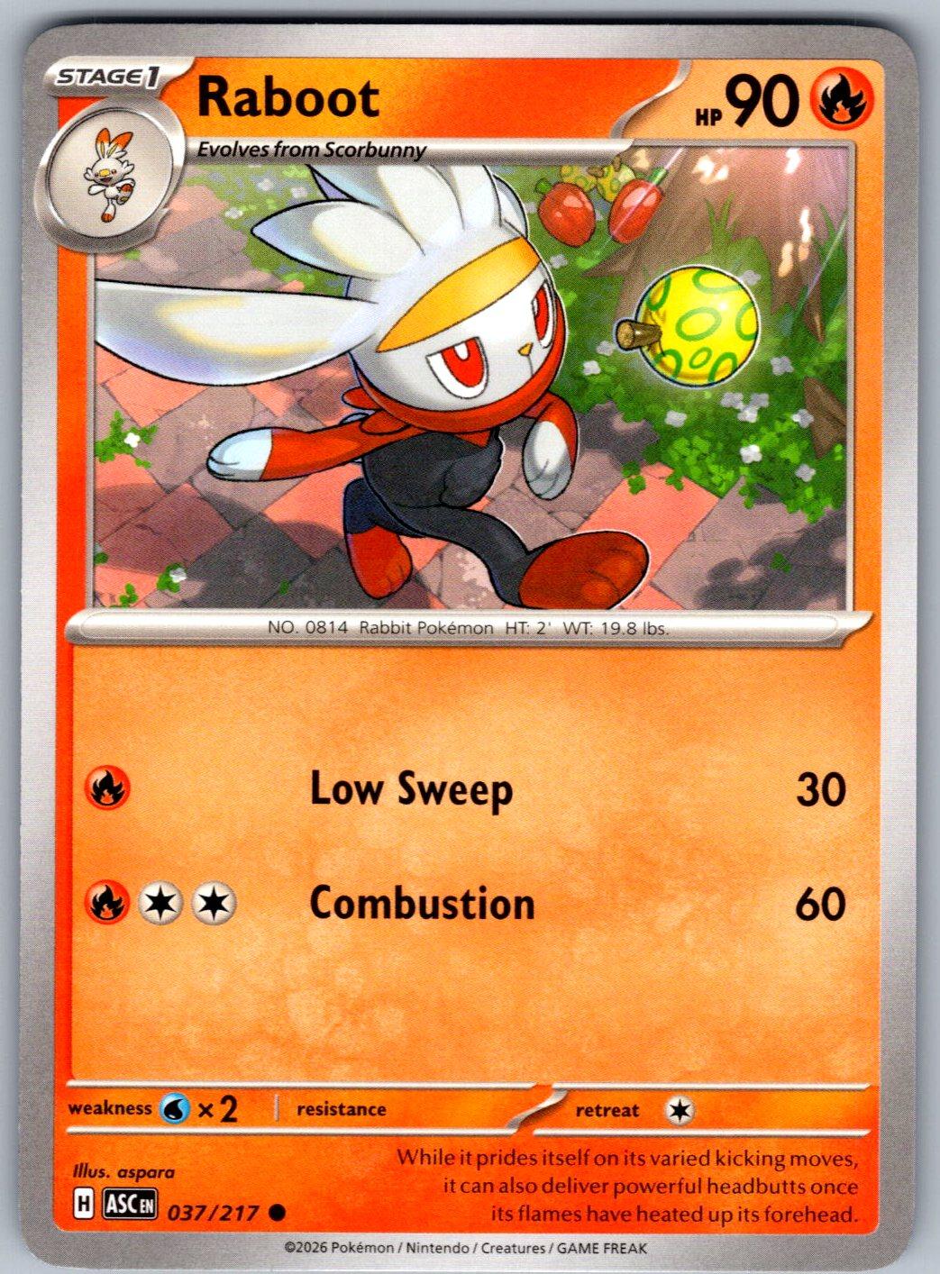 Raboot 037/217 Ascended Heroes Pokemon
