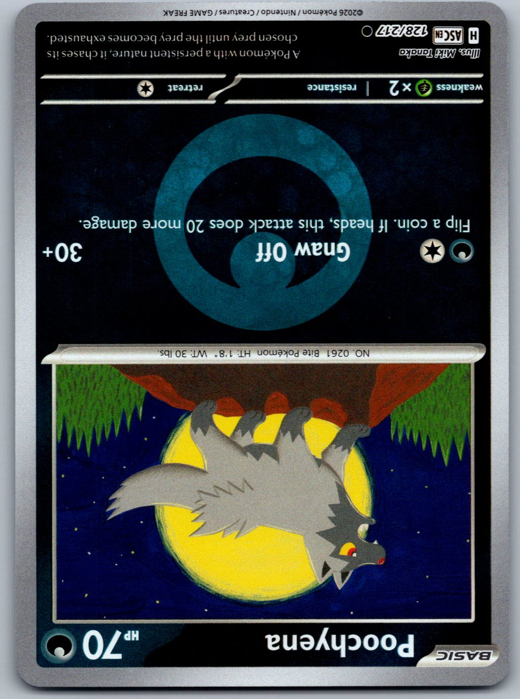Poochyena (Energy Symbol Pattern) 128/217 Ascended Heroes Pokemon Reverse Holo