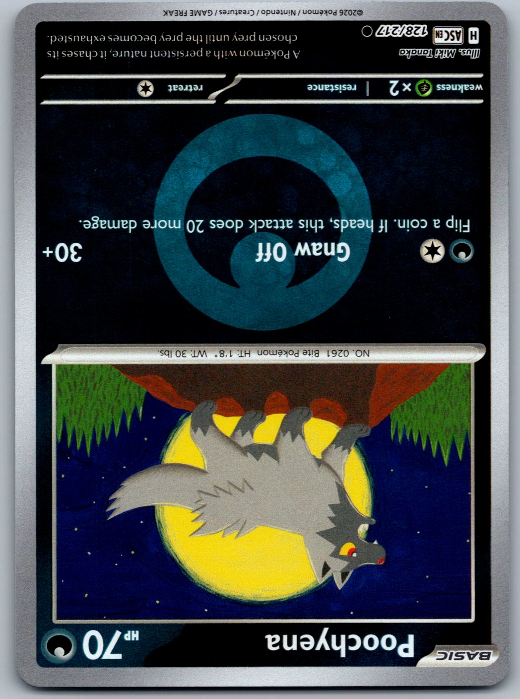Poochyena (Energy Symbol Pattern) 128/217 Ascended Heroes Pokemon Reverse Holo