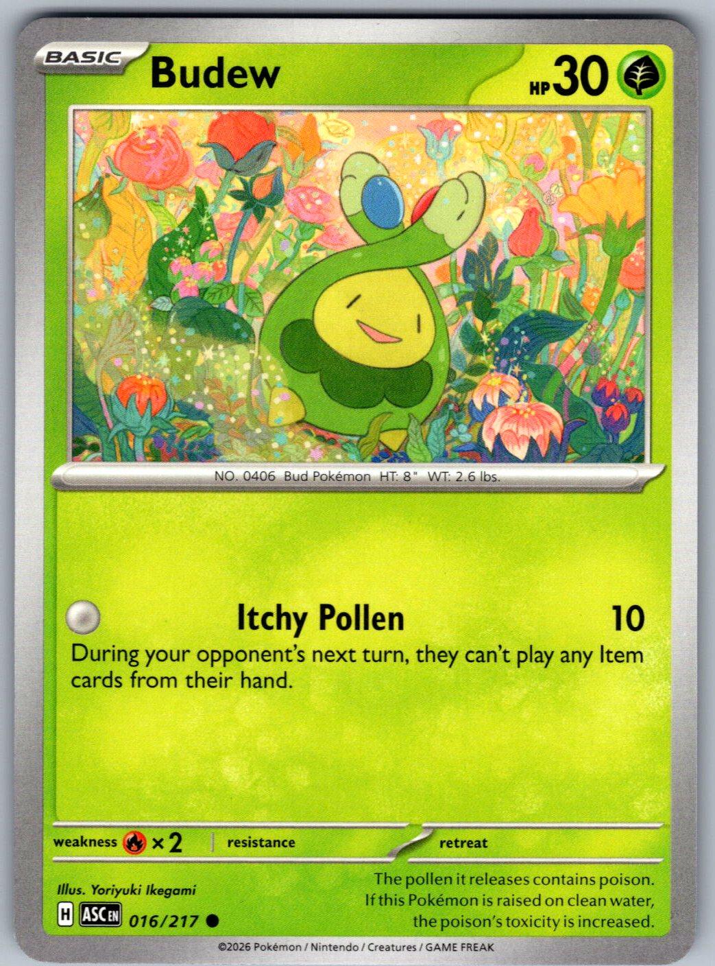 Budew 016/217 Ascended Heroes Pokemon