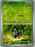 Nymble 15/142 Stellar Crown Pokemon Reverse Holo