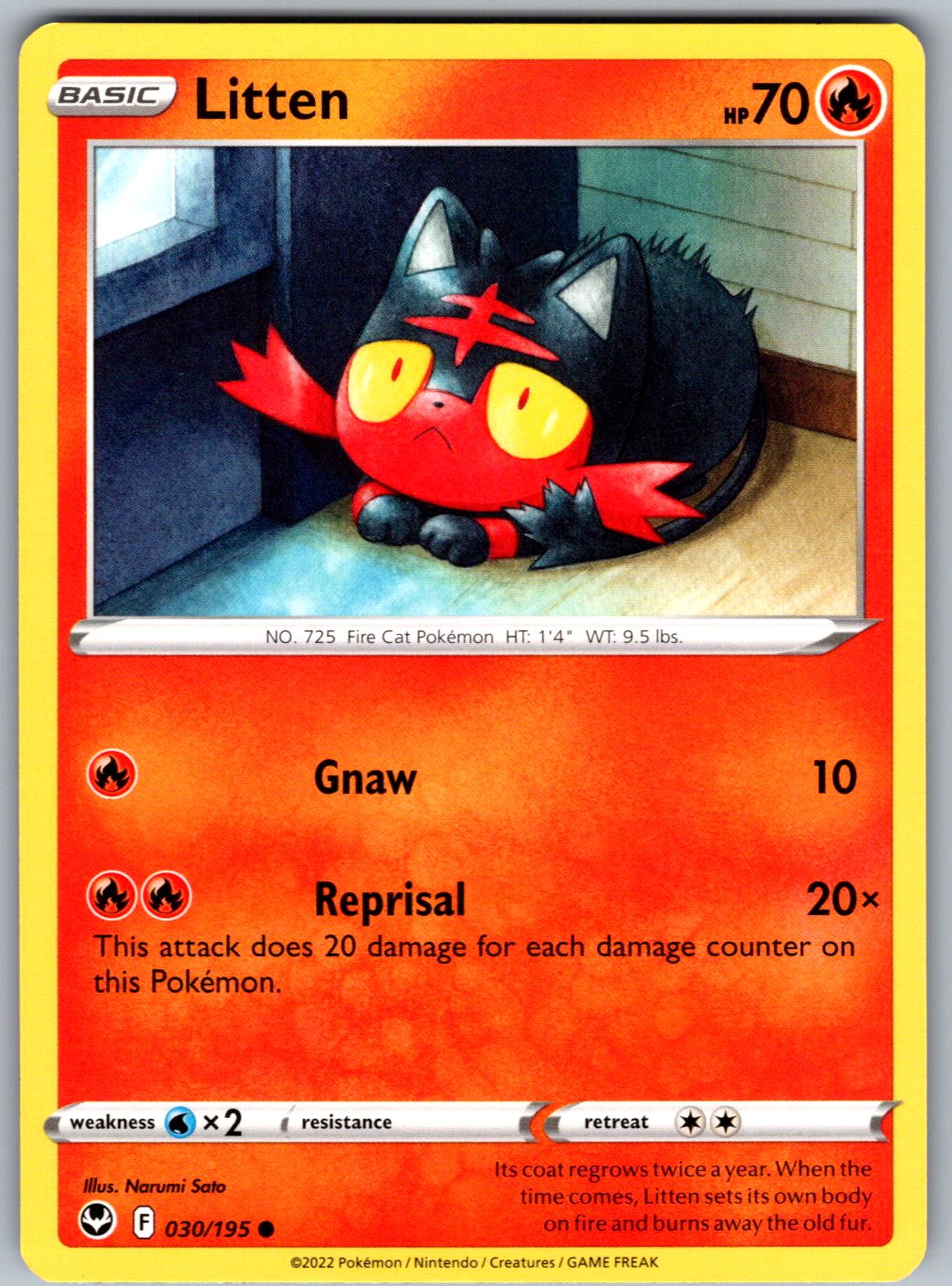 Litten 030/195 Silver Tempest Pokemon