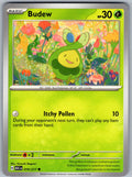 Budew 016/217 Ascended Heroes Pokemon