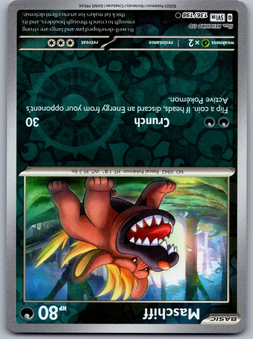 Maschiff 136/198 Scarlet & Violet Pokemon Reverse Holo