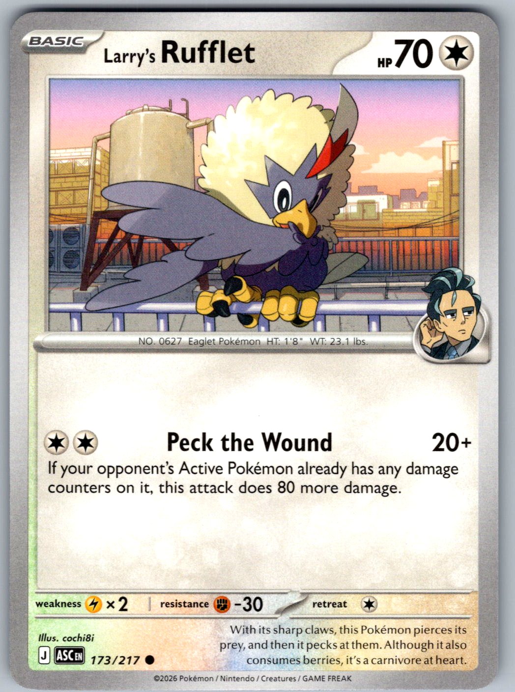 Larry's Rufflet 173/217 Ascended Heroes Pokemon