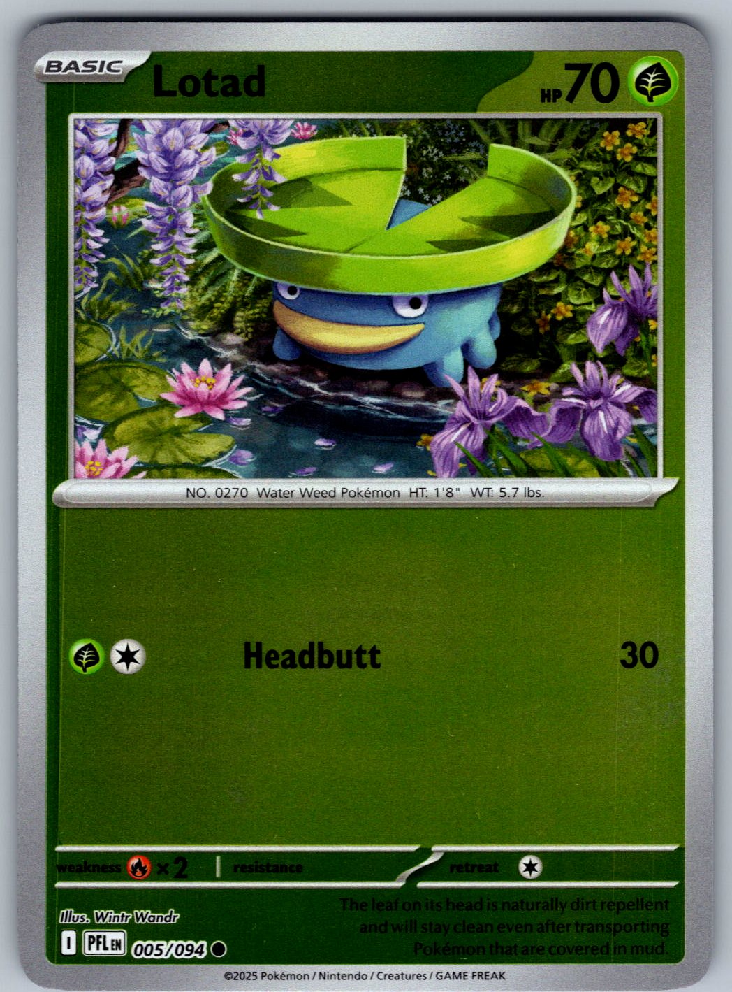 Lotad 005/094 Phantasmal Flames Pokemon Reverse Holo