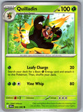 Quilladin 006/086 Chaos Rising Pokemon