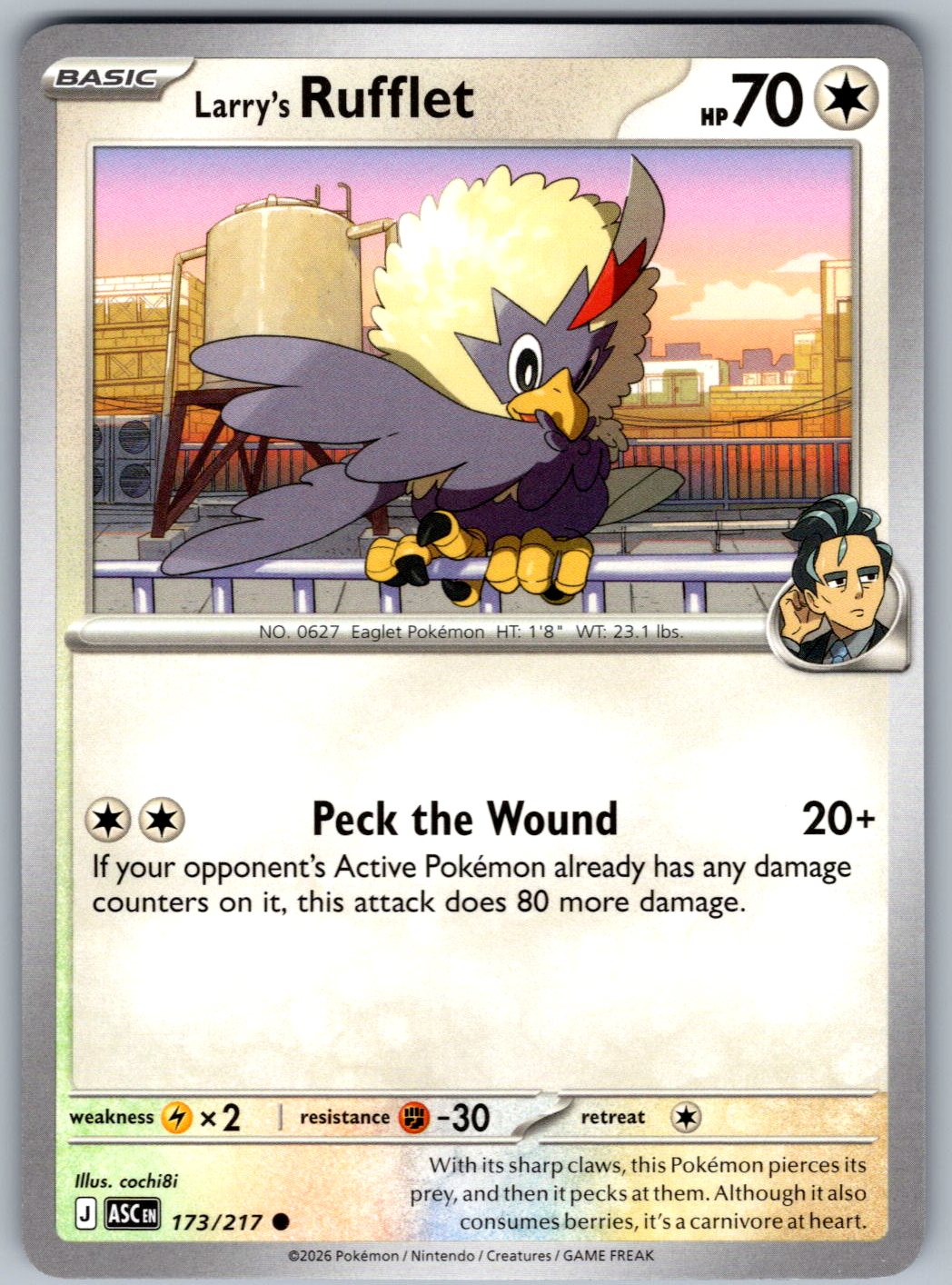 Larry's Rufflet 173/217 Ascended Heroes Pokemon