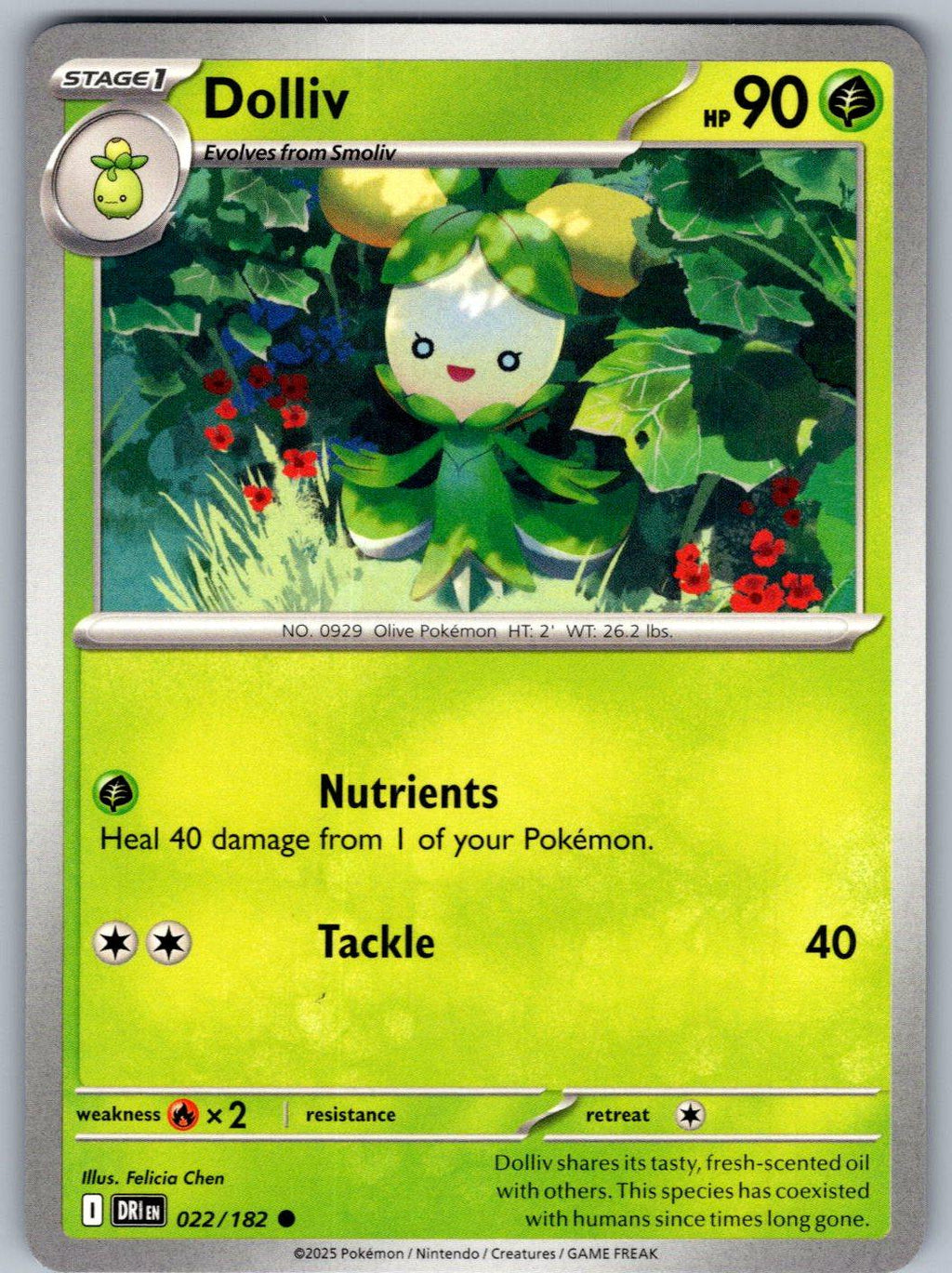 Dolliv 022/182 Destined Rivals Pokemon