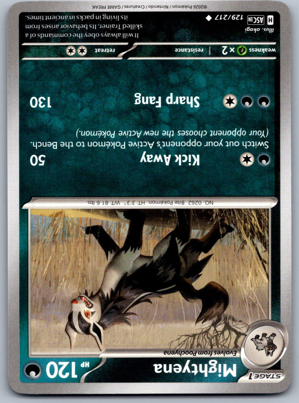 Mightyena 129/217 Ascended Heroes Pokemon