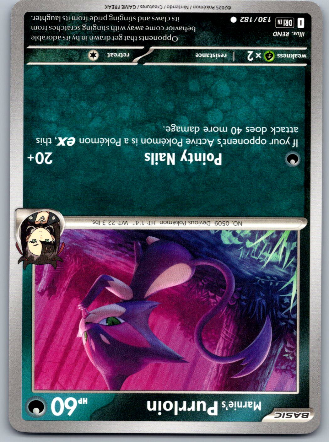 Marnie's Purrloin 130/182 Destined Rivals Pokemon