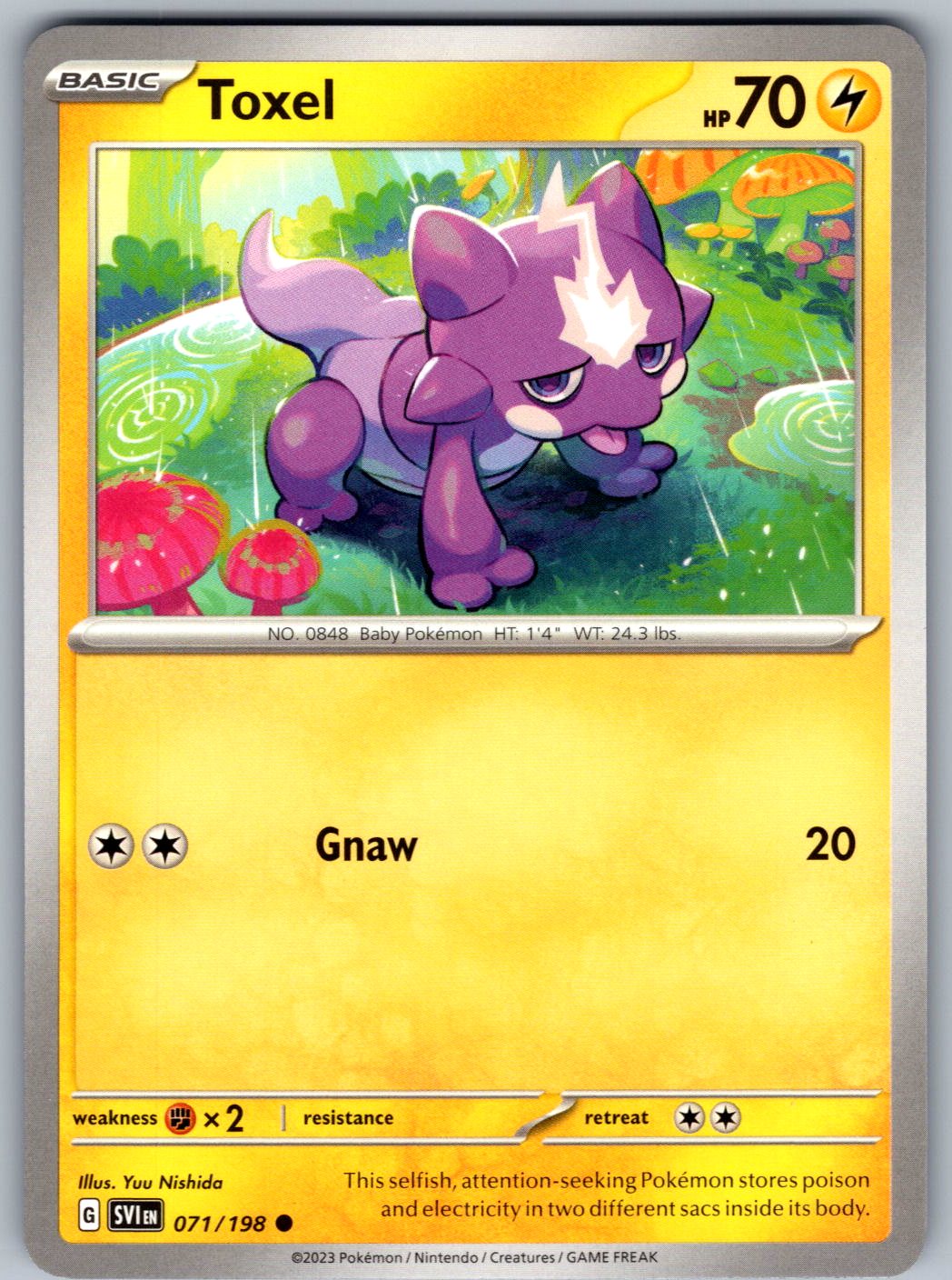 Toxel 071/198 Scarlet & Violet Pokemon