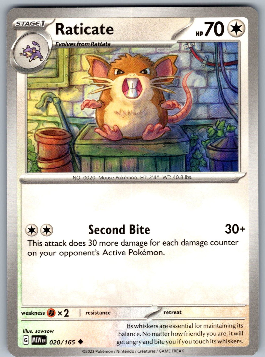 Raticate 020/165 151 Pokemon